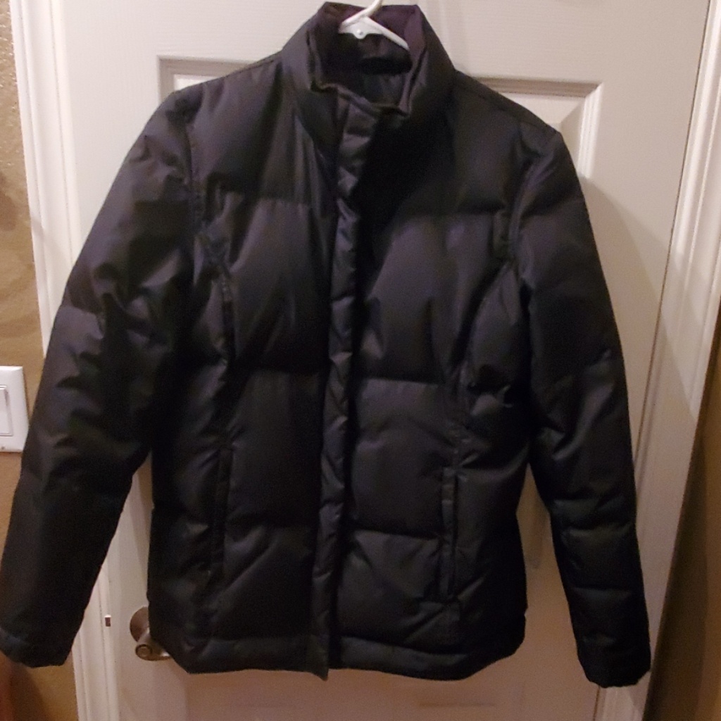 Gap Down Jacket